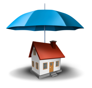 Picture House, Blue umbrella